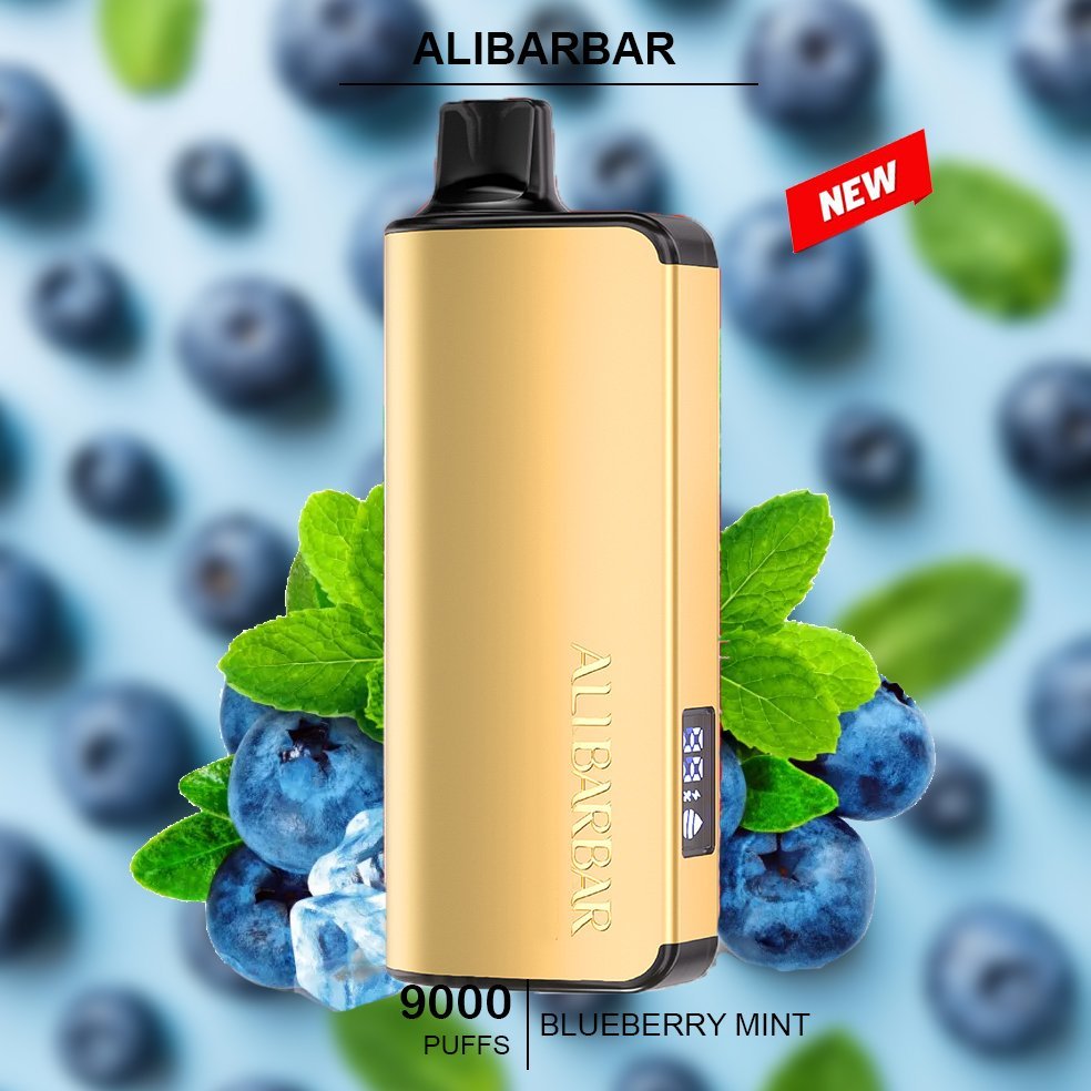 alibarbar ingot – blueberry mint – 9000 puffs