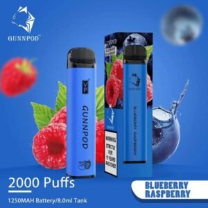 gunnpod blueberry raspberry – 2000 puffs