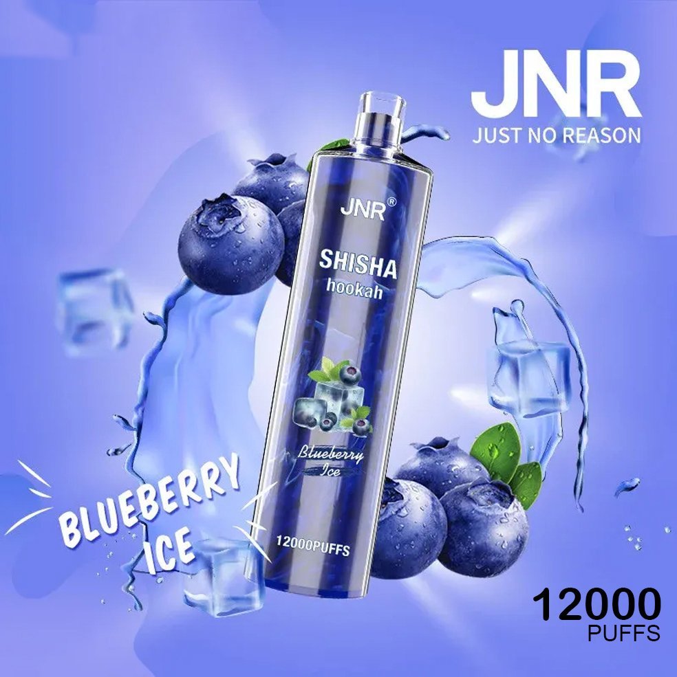 jnr shisha hookah blueberry ice – 12000 puffs