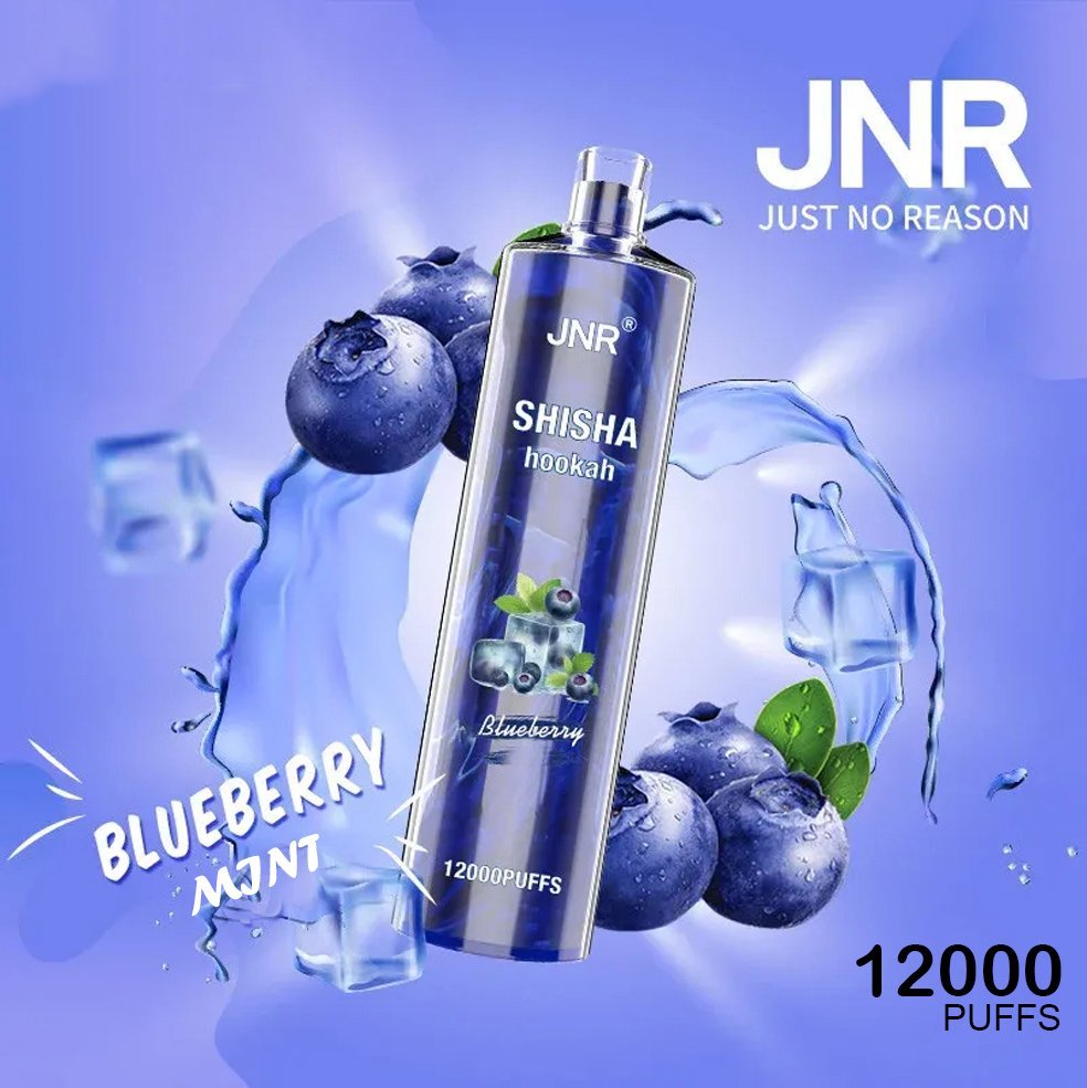 jnr shisha hookah – blueberry pomegranate – 12000 puffs