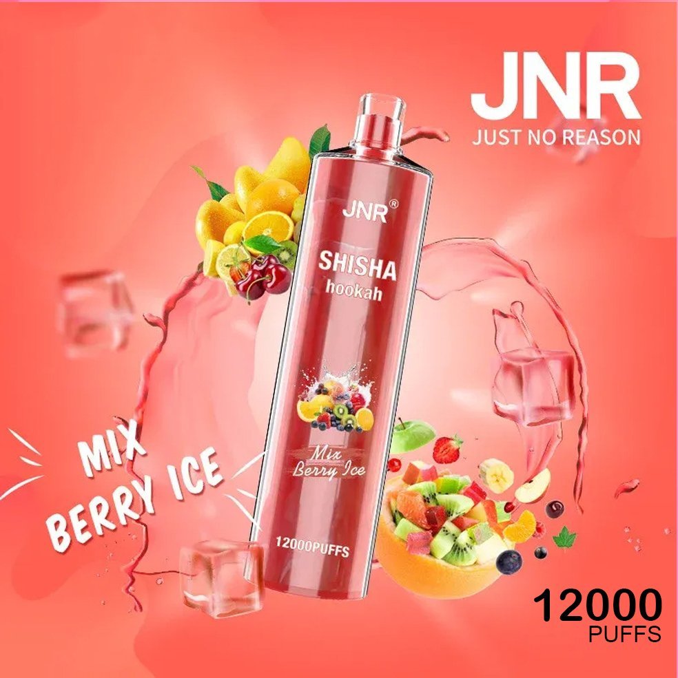 jnr shisha hookah mix berry ice – 12000 puffs