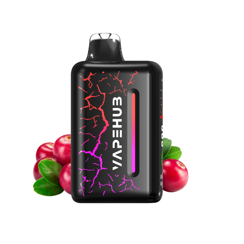 MIDNIGHT BERRY CHILL  – VAPEHUB ULTRA 20000