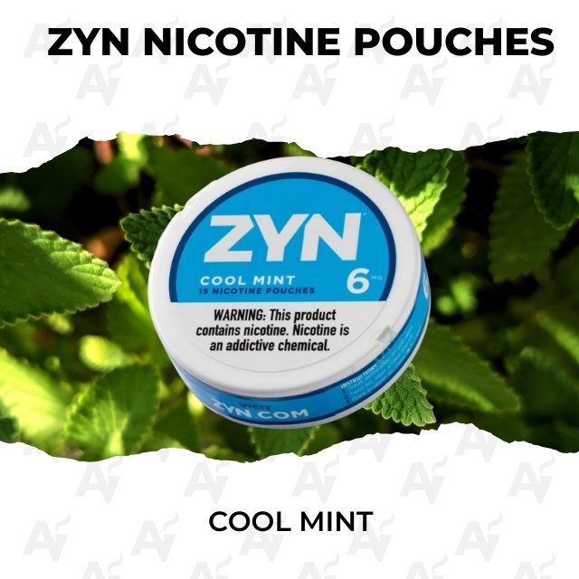 Zyn Nicotine Pouches – Cool Mint